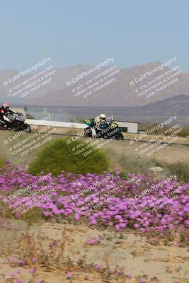 media/Feb-04-2023-SoCal Trackdays (Sat) [[8a776bf2c3]]/Turn 15 Inside Blooming (1050am)/